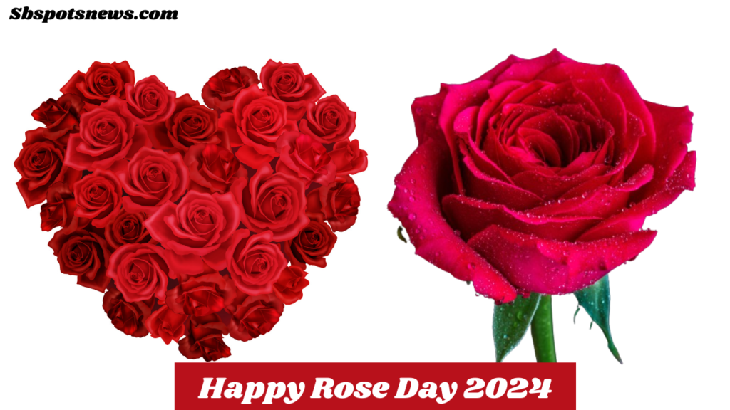 happy rose day 2024 full hd photo