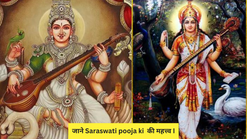 best saraswati's photo 2024